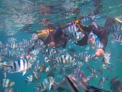 񂳂̃}T[rXނʁ[ւ̓eʐ^1