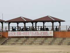 Ƃ񂳂̏l򑫓@قƂӂƂPOTւ̓eʐ^1