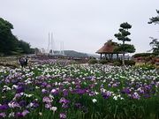 ���񂿂�񂳂�̂Ƃ�������^���傤�Ԃ̓��e�ʐ^1