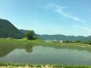 poporon̒ʌÕQ̓eʐ^2