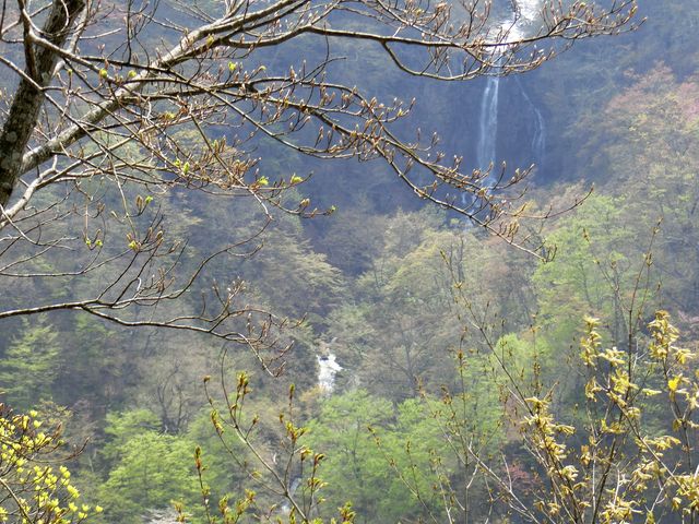 �O�K�̑�_�����G�R�[���C��