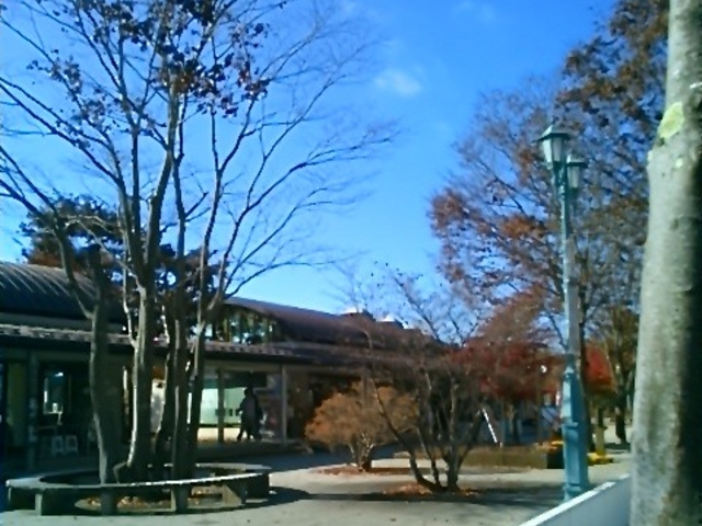 ̉wȂ邳함Y_̉wȂ邳함Y