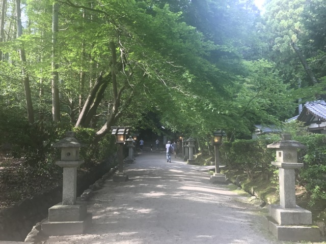 �Q��_��c�_��