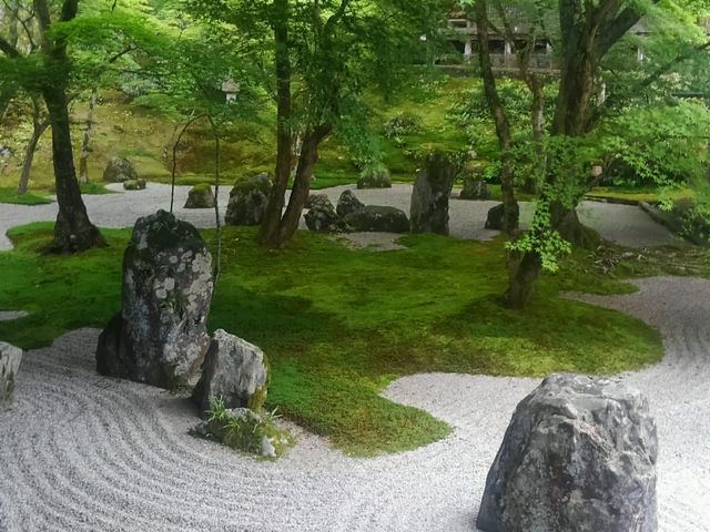 �͎R���̒�_�����T��