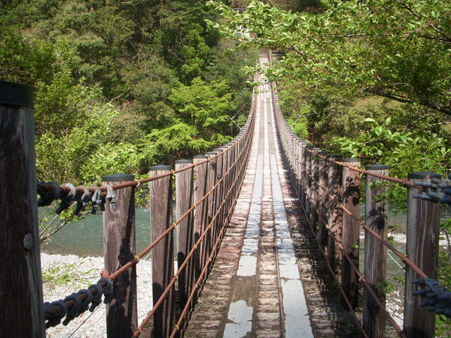 ̓̉w _iEbfBvUؑفj̓eʐ^1