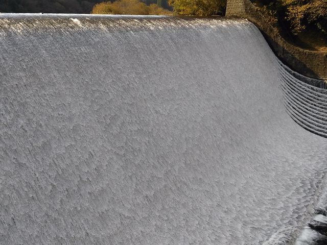 �܂�Ń��[�X�̃J�[�e���̂悤�ł�_�����_��