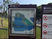 ���ʂ܂񂳂�̏ۂ̕@�p�[�N�̓��e�ʐ^1