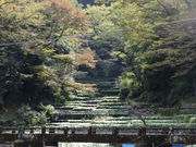 񂳂̔̂킳ѓc̓eʐ^1