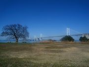 _ChKXg̍iJ_lW]̓eʐ^1