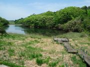 _ChKXg̃VepNVR̓eʐ^2