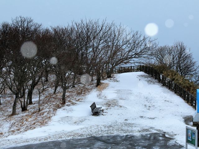 �W�]�䉺�̃x���`_�n�����W�]��