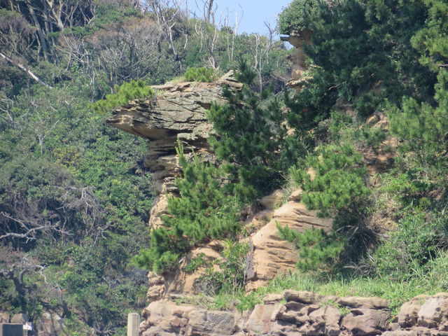 �T��_�C�m��