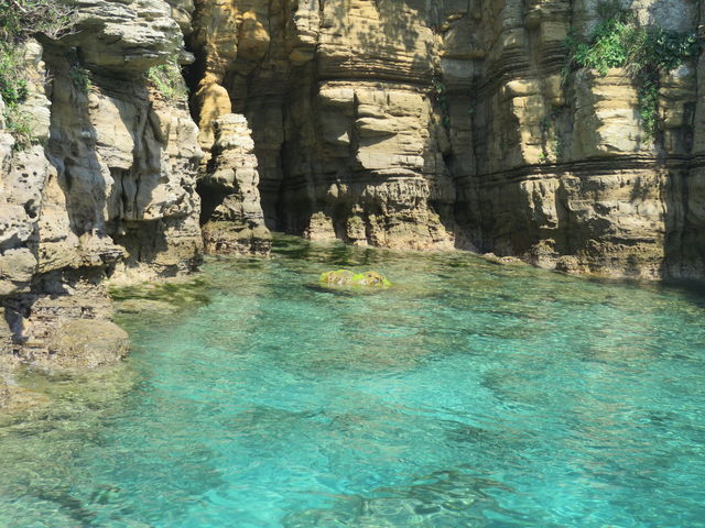 �C�̋{�a_�C�m��