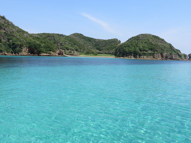 �C�̓�_�C�m��