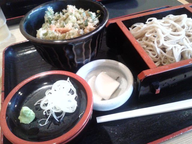 hakoneatami����̔~�̖؂̓��e�ʐ^1