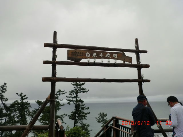 �V�����̓����_���̉w �疇�c�|�P�b�g�p�[�N