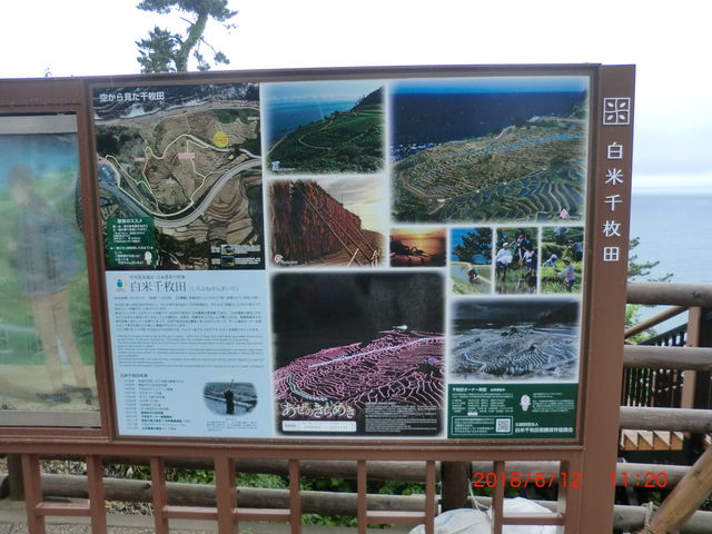 �疇�c�̈ē�_���̉w �疇�c�|�P�b�g�p�[�N