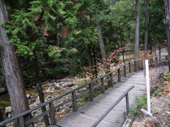 Ƃ̐ԑ򎩑Rx{тւ̓eʐ^1