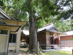 花ちゃんさんの白沙八幡神社の投稿写真3