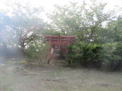 花ちゃんさんの城山公園（長崎県壱岐市）の投稿写真2