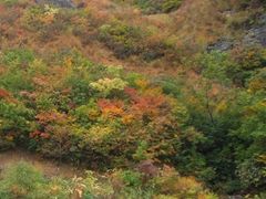 Ƃ̔R싽zCg[hւ̓eʐ^1