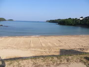 �Ԃ���񂳂�̗��l�C������̓��e�ʐ^1