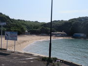 �Ԃ���񂳂�̉��M�C������̓��e�ʐ^1