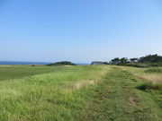 �Ԃ���񂳂�̏��q��̓��e�ʐ^1