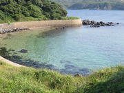 �Ԃ���񂳂�̏��q��̓��e�ʐ^3