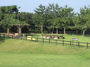 Ԃ񂳂̈o̑Lv̓eʐ^1