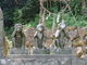 花ちゃんさんの白沙八幡神社の投稿写真4