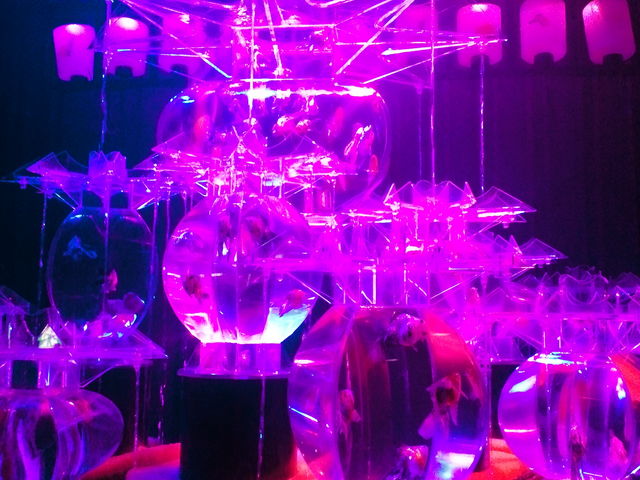 ���z�I_���{���O��z�[��