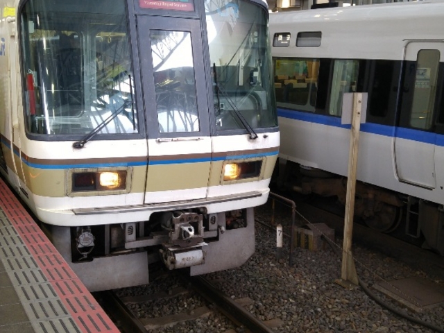 ����_�i�q�ޗǉw