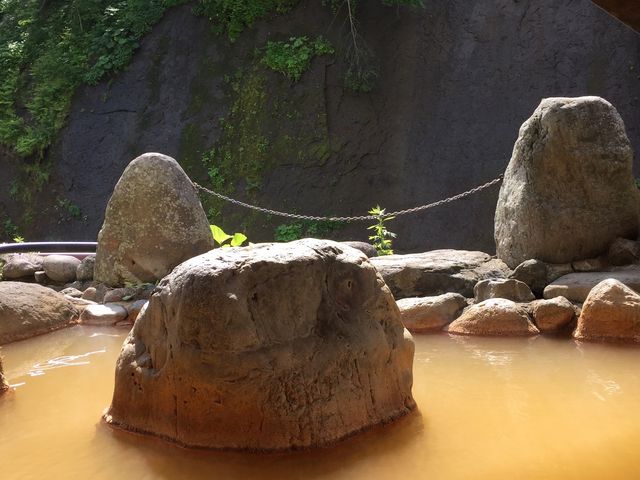 ���R�N�o�Ȃ̂ō����͔M�������I_�V�l������