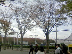 �ӂ������񂳂�̑�X�ؑ��̈�قւ̓��e�ʐ^1