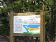 kenken̓̕lCl̓eʐ^1