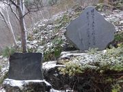 ڂ肳̑nRl̉̔̓eʐ^1