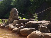 christel����̓V�l������̓��e�ʐ^1