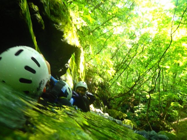 �v�J�v�J������グ�ĐX�ї�_�O�����f�b�N�X�������x�[�X