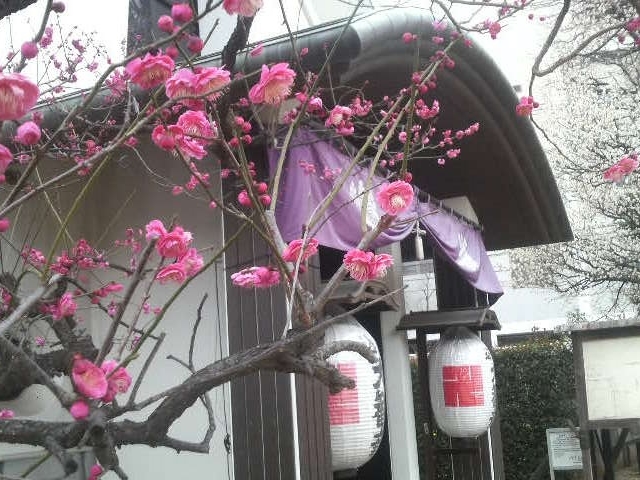 �������i���ω��j_�������i���ω��j