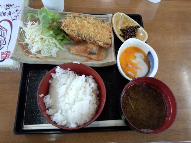 ���̃t���C�ł�_�a�Ǌό�����