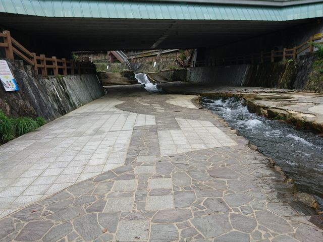 �e������_�L�n�̐���