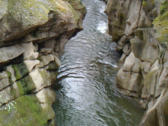 �炢�炢���̓����ɂȂ��Ă��܂�_�H�ہE���Z���^�[