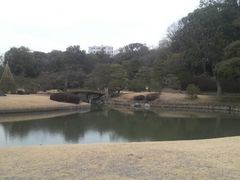 ���Ƃ��񂳂�̘Z�`���@�o���̖��ւ̓��e�ʐ^1