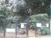 Ƃ񂳂̐ʖ؂ӂꂠ̓m̓eʐ^1