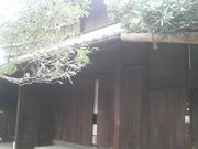 Ƃ񂳂̋剮~̓eʐ^5