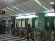 Ƃ񂳂̓gk{w̓eʐ^1