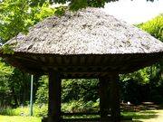 ͂񂳂̉̍qi]˓Ẳj̓eʐ^1