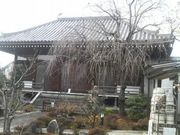 Ƃ񂳂̓Jiڐԕsj̓eʐ^3