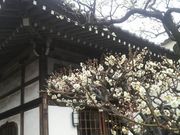 Ƃ񂳂̓Jiڐԕsj̓eʐ^5